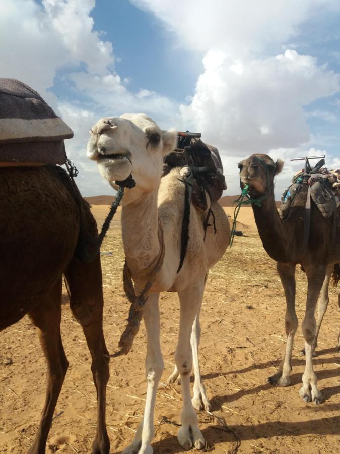 ホテル Nomad House メルズーガ エクステリア 写真