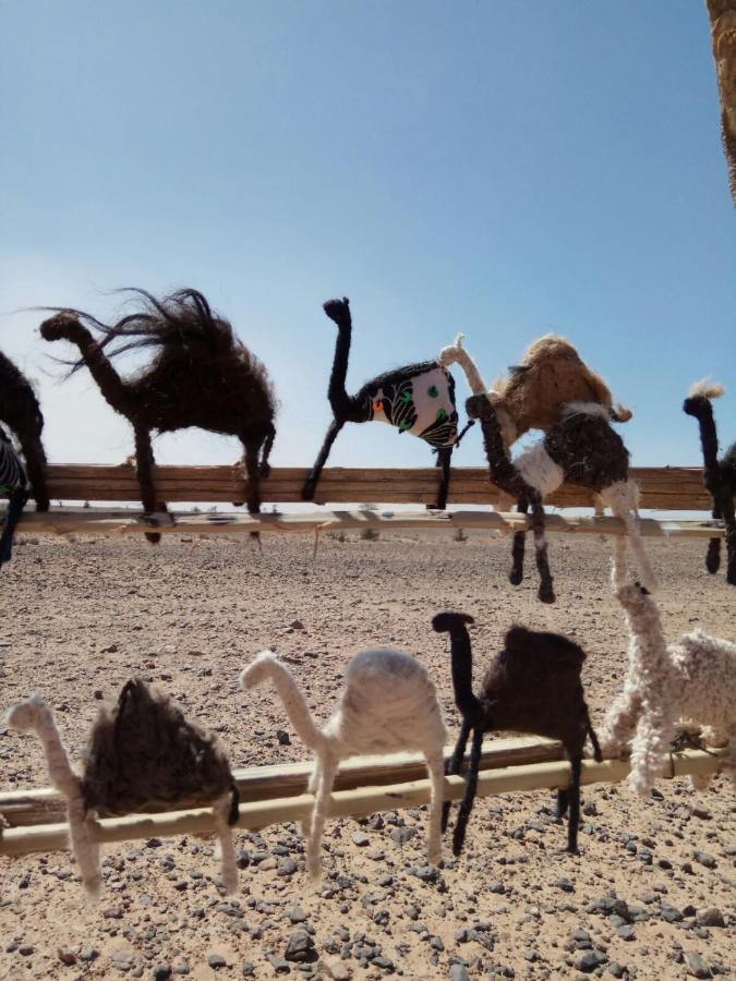 ホテル Nomad House メルズーガ エクステリア 写真